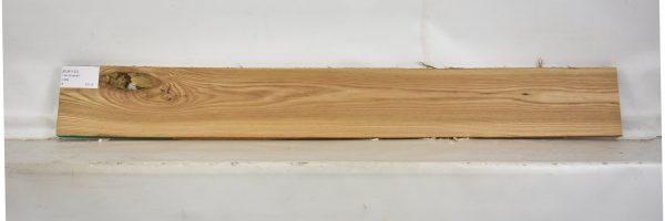 ELM1133_2