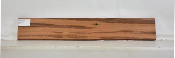 GONC1094_2
