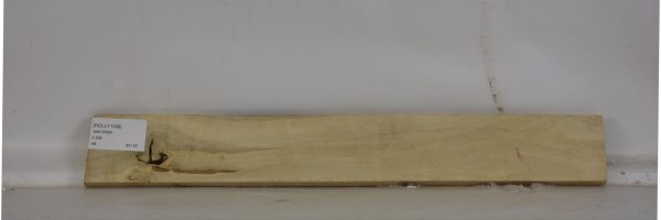 HOLLY1098_2