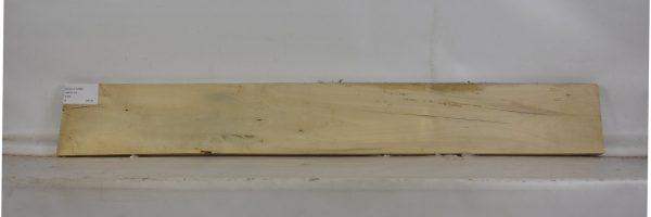 HOLLY1099_2