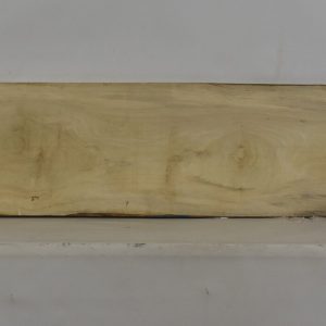 HOLLY1100_1