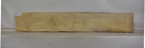 HOLLY1100_1