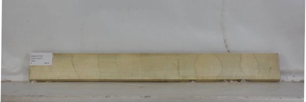 HOLLY1101_1