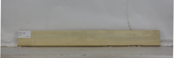 HOLLY1101_2