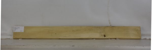 HOLLY1103_2