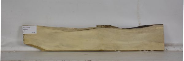 HOLLY1105_1