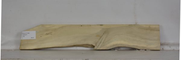 HOLLY1105_2