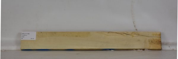 HOLLY1106_1