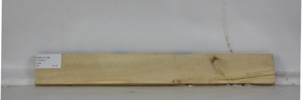 HOLLY1106_2
