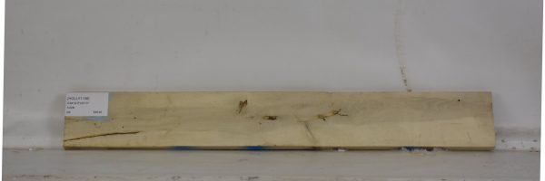 HOLLY1108_2