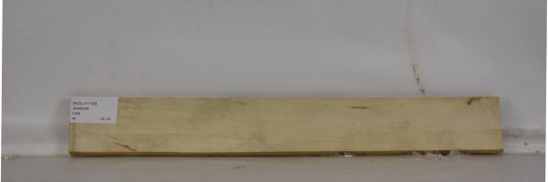 HOLLY1109_1