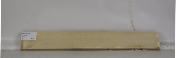 HOLLY1109_2