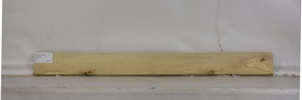 HOLLY1110_1