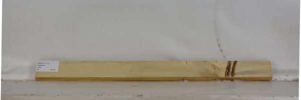 HOLLY1111_2
