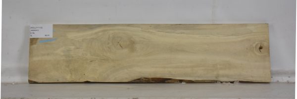 HOLLY1113_1