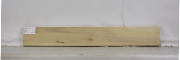 HOLLY1114_2