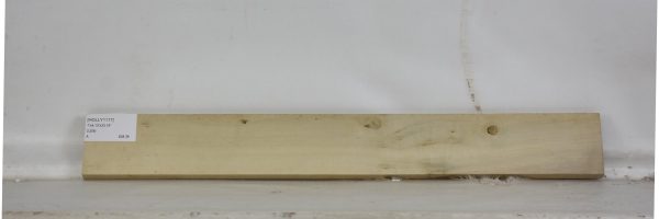 HOLLY1117_1