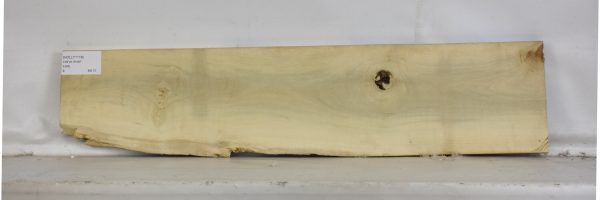 HOLLY1118_2