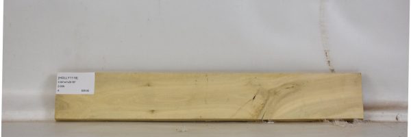 HOLLY1119_1
