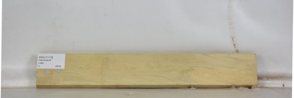 HOLLY1119_2