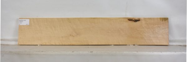 MAPBEH1341_1