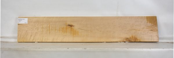 MAPBEH1341_2