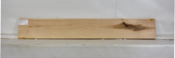 MAPBEH1348_1