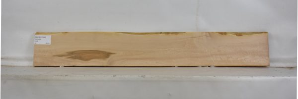 MAPBEH1349_2