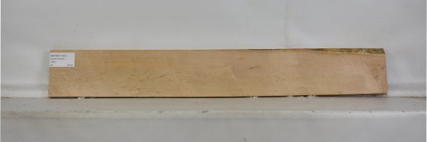 MAPBEH1351_2