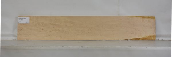 MAPBEH1353_2