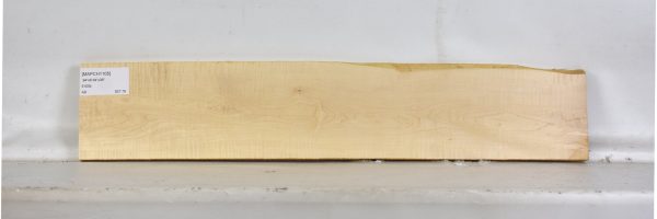 MAPCH1105_1