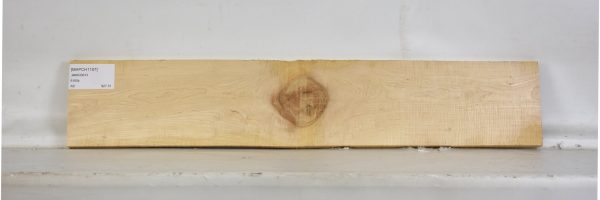 MAPCH1107_2