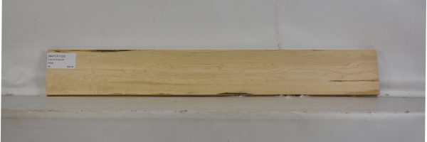 MAPCH1120_1