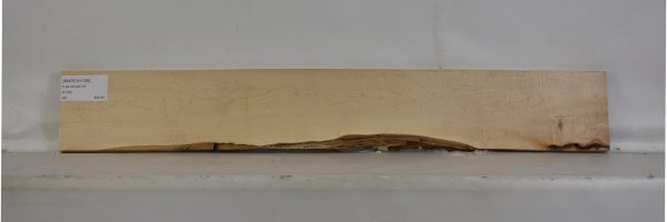 MAPCH1125_2