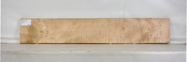 MAPCS1230_2