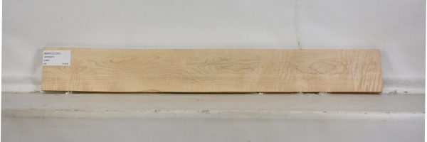 MAPCS1231_1
