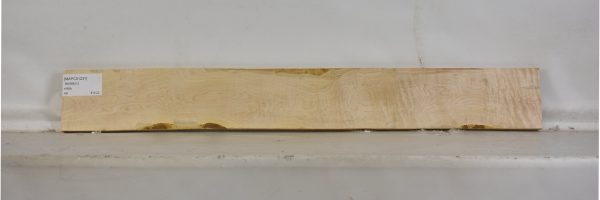 MAPCS1231_2