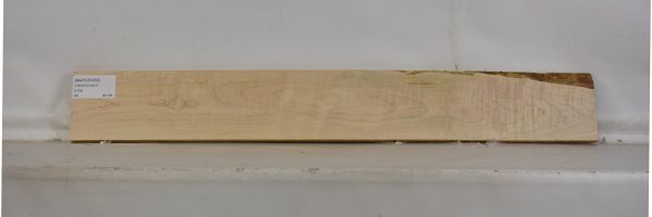 MAPCS1233_1