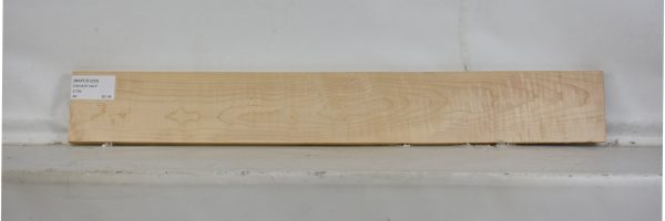 MAPCS1233_2