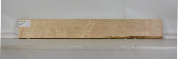 MAPCS1234_2