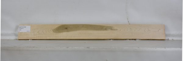 MAPCS1235_2