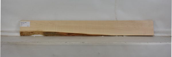 MAPCS1238_2