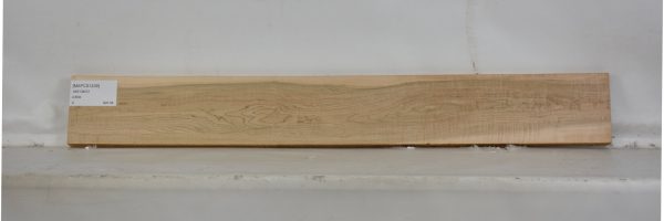 MAPCS1239_2