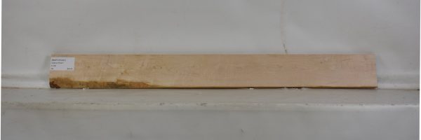 MAPCS1241_2