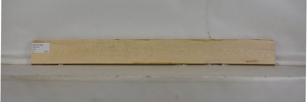 MAPCS1242_1