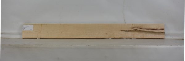 MAPCS1243_2