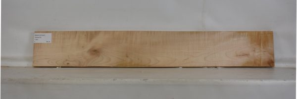 MAPCS1247_2