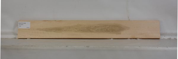 MAPCS1248_1