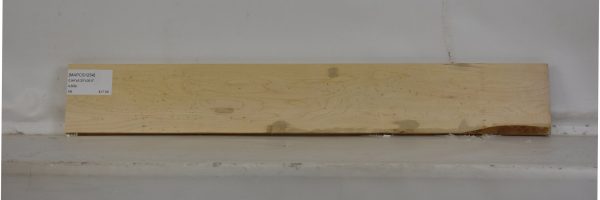 MAPCS1254_2
