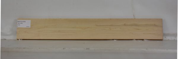 MAPCS1255_1